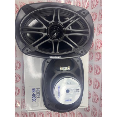 BlueRex BR-069E Serisi Oval 6x9 Oto Midrange Hoparlör 80W Fiyatı