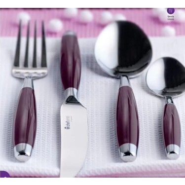 Tupperware 12 Kişilik 48 Parça Mürdüm Rengi Çelik Çatal Fiyatı