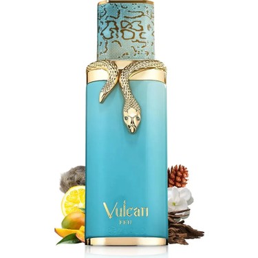 French Avenue Vulcan Feu 100ml EDP Baharatlı Erkek Parfüm Fiyatı