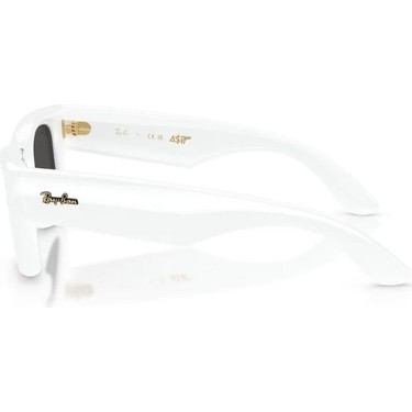 Ray-Ban RB4940 671/87 47 A$ap Rocky Unisex Güneş Gözlüğü Fiyatı