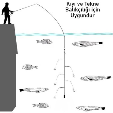 Valkyrie 5 Iğneli Paslanmaz Çelik Halatlı Dip Hırsız Olta Fiyatı