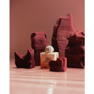 Amouage Guidance 46 Edp 100ML Fiyatı - Taksit Seçenekleri