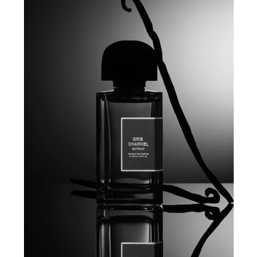 Bdk Gris Charnel Extraıt Extrait De Parfum 100ML Fiyatı