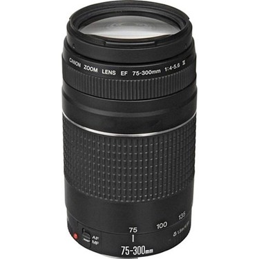 Canon EF 75-300mm F4-5.6III & KENKOアダプター Canon Ef 75-300MM F/4-5.6 III Telefoto Zoom Objektif Fiyatı, 4.7