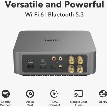 Wiim Amp Pro Streaming Stereo Amplifier 120 Watt 2,1 Kanal Fiyatı