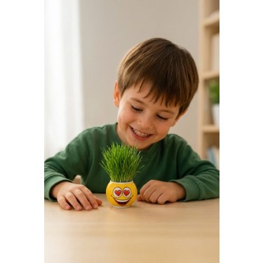 Omilife Emoji Figürlü Çim Adam Oyuncak Toprak Tohumlu Fiyatı