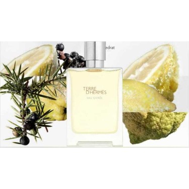 Hermes Terre D'Hermes Eau Givrée EDP 100 ml Ferah Koku Fiyatı