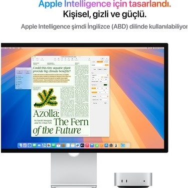 Sungur's Store Apple Mac Mini M4 16GB 512GB SSD Macos Mini Fiyatı