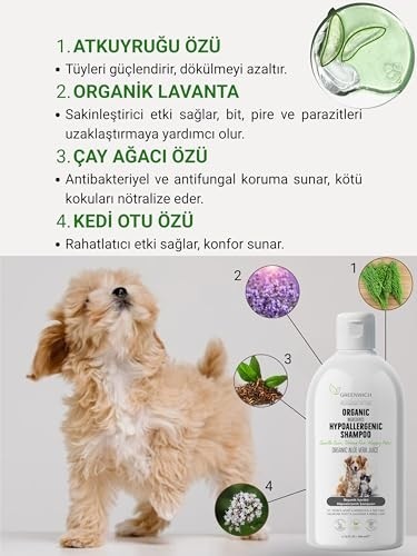 Die Grup Whiskas Pouch Pure Delight Jöle Içinde Sığır Etli Yetişkin Kedi Konservesi 85 gr Tekli Paket görsel 4
