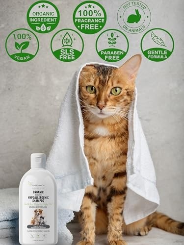 Die Grup Whiskas Pouch Pure Delight Jöle Içinde Sığır Etli Yetişkin Kedi Konservesi 85 gr Tekli Paket görsel 5