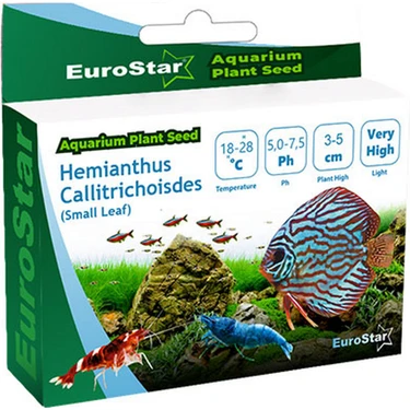 Eurostar Bitki Tohumu Hemianthus Callitrichoides