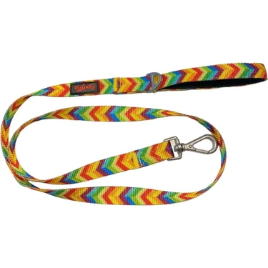 Tailpetz Kedi Köpek Sevk & Gezdirme Kayışı RAINBOW