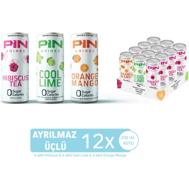 Pin Ayrılmaz Üçlü - Hibiskus & Cool Lime & Orange Mango - Şekersiz & Kalorisiz 250 ml x 12