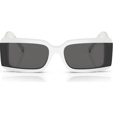 Tiffany&Co. Tiffany & Co. 4197 8357S4 62 Kadın Güneş Gözlüğü Fiyatı