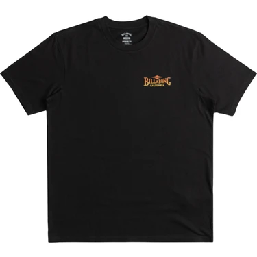 Billabong Dreamy Place Tees Erkek Siyah