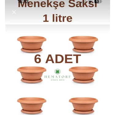 Hematorf Menekşe Saksı 1 Litre - 6