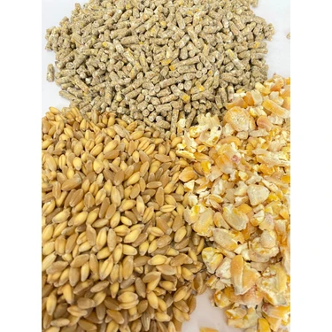 Şenler Zahire - 10 kg - Yumurta Palet Yemi - Kırık Mısır ve Buğday Karışık