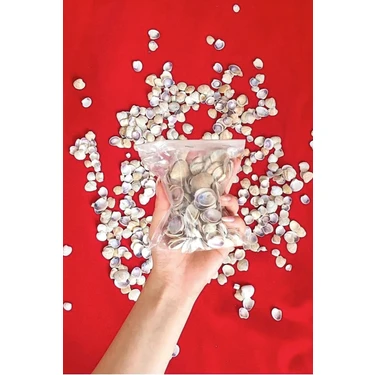 Kuzeylina Küçük Deniz Kabuğu (100 Gr) - Süs - Dekoratif - Hobi - Akvaryum