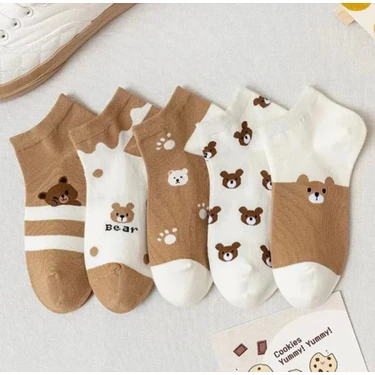 Çorap Kurdu 5’li Ekonomik Paket Teddy Bear Temalı  Patik Çorap