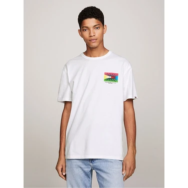 Tommy Hilfiger Tommy Jeans Erkek Regular F t T Shirt Fiyat