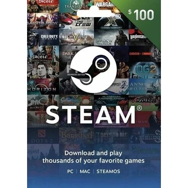 Steam Gift Card 100 USD