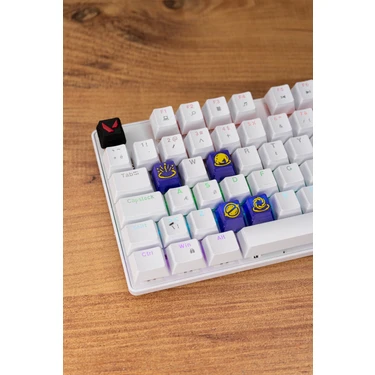 Makerpax Valorant Astra Keycaps, Q-E-X-C Mekanik Klavye