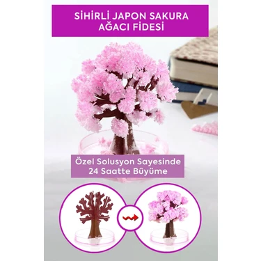 桜子！ format:webp