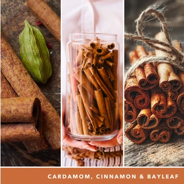 Yankee Candle Cinnamon Stick Signature Orta Mum Fiyat