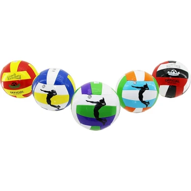 Gfc Life Store Voleybol Topu Dikişli -