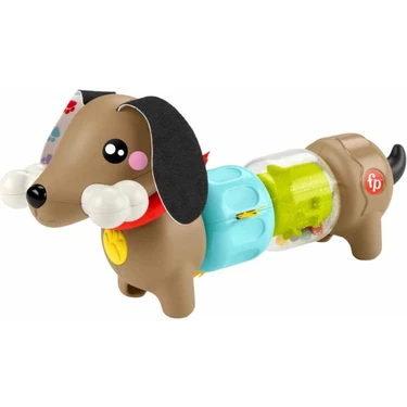 Fisher Price Köpekçikle Eğlenceli Aktiviteler