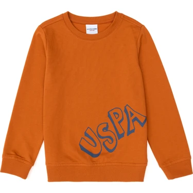 U.s. Polo Assn. Erkek Çocuk Tarçın Sweatshirt