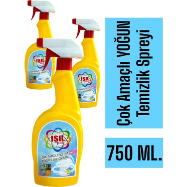 Ekagra 750 ml 3'lü Leke Çıkarıcı Çok Amaçlı Extra Yoğun