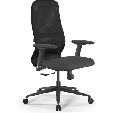 Ergolife Fileli Ergonomik Ofis Koltuğu / Çalışma Sandalyesi Synchrosit 8 B2-9d - 3D /