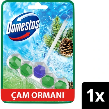 Domestos Tuvalet Bloğu Çam Ormanı 50