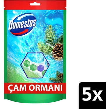 Domestos Tuvalet Bloğu Çam Ormanı 5'Li Güç 250