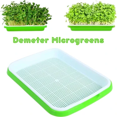 Demeter Microgreens Tohum Filizlendirme ve Çimlendirme, Mikro Yeşillik Yetiştirme Tepsisi, Bpa