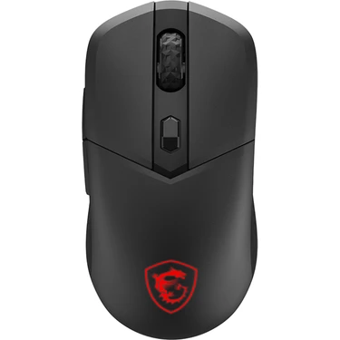 Msı Gg Versa 300
