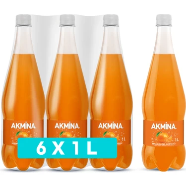 Akmina C Vitaminli Mandalina Aromalı Maden Suyu 1 L X6