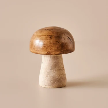 Bella Maison Mushroom Dekoratif Obje Naturel (12X15