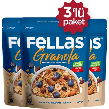 Fellas Granola - Yaban Mersini & Kuruyemiş 200g - 3'lü