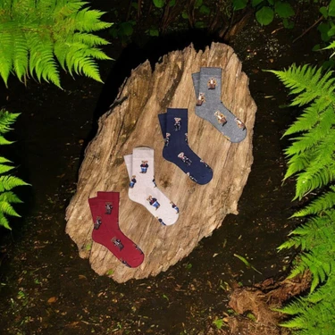 Mono Socks - 4'lü Çocuk Çoklu Teddy Bear Pamuklu