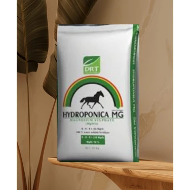 健康・医学 Taro format:webp