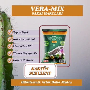 Vera Kaktüs - Sukulent Toprağı 5 Lt -Teraryum