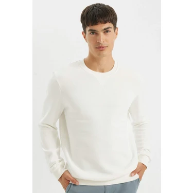 DeFacto Regular Fit Bisiklet Yaka Kalın Basic Düz Sweatshirt