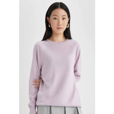 DeFacto Regular Fit Yumuşak Dokulu Bisiklet Yaka Reglan Kol Basic Düz Triko Kazak