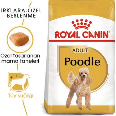 Royal Canin Poodle Adult 3 kg – Yetişkin Köpekler İçin Özel