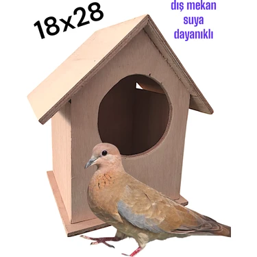 ncy Ahşap Kumru Güvercin Kuş Yuvası Kuş Evi Folluk 20x25