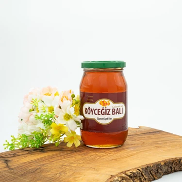Köyceğiz Balı Çiçek Balı 450 G Cam Kavanoz Doğal ve Saf Ürün Özellikleriyle Geleneksel