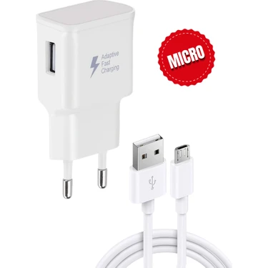 Tntech 12W 2.1A Usb +Micro Girişli  Adaptör ve Kablo Hızlı Şarj Aleti Seti