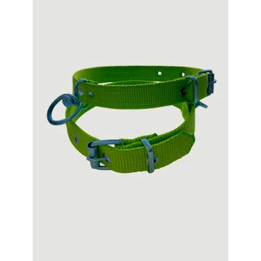 Tasma Atalier Orta Boy Köpek